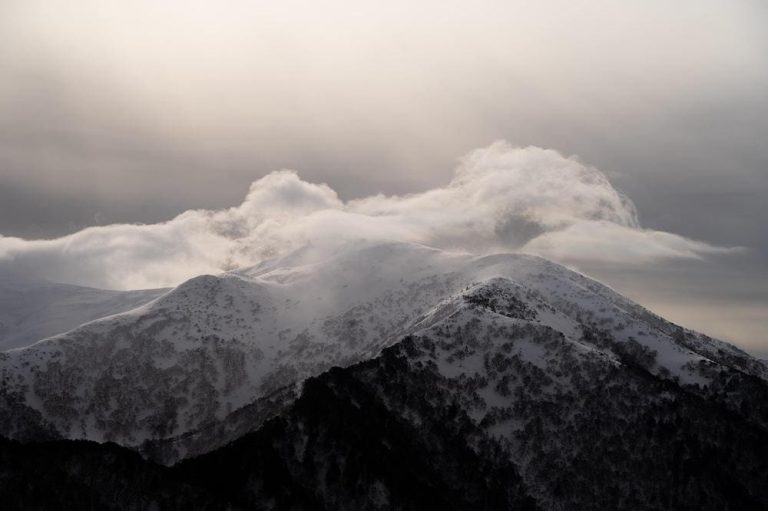 Cloud Native AI Enters Its Production Era